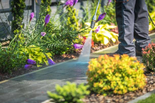 Best Winterizing Services  in Salisbury, MD